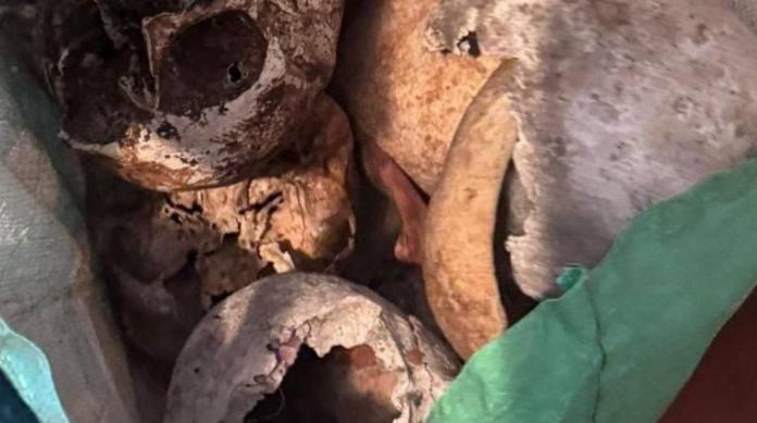 Descoberta macabra em São Paulo: polícia encontra mais de 12 crânios em apartamento